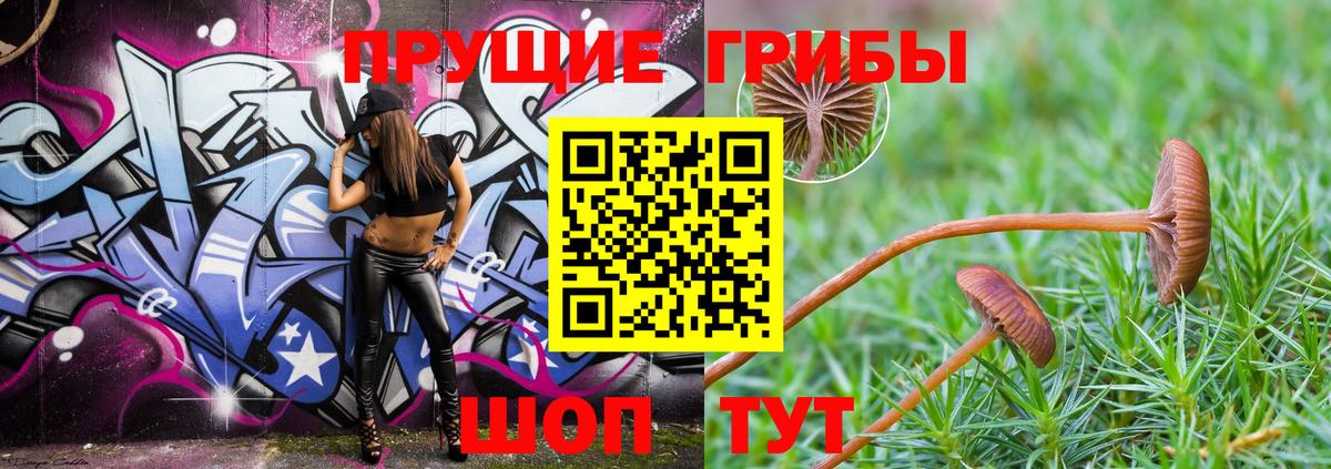 Галлюциногенные грибы MAGIC MUSHROOMS Донецк